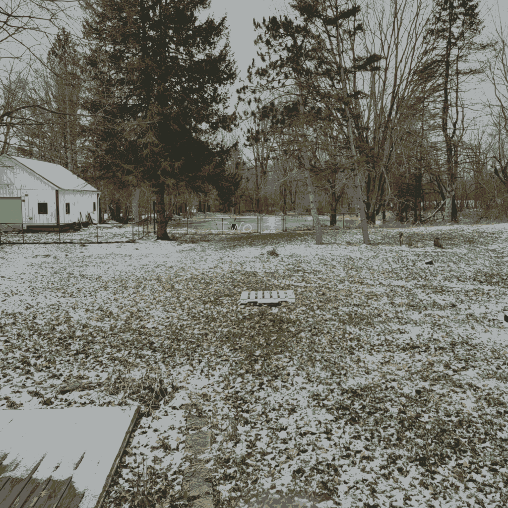 Ambient Two, King Of The Derelict, Art Vanguard III, Dead Leaves & Weird&nbsp;Lights